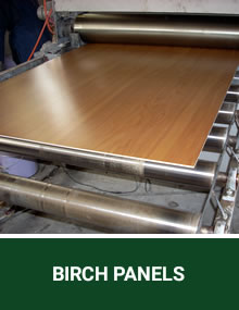 Birch Panels Products