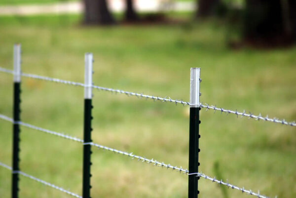 Fencing Wood Barbed Posts