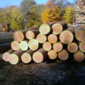 Hardwood Logs