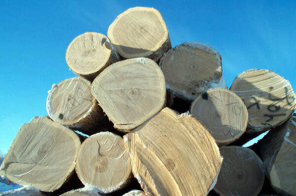 Hardwood Logs - Random