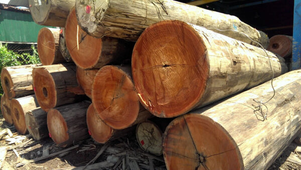 Meranti Wood Decking Red Balau Butt Logs