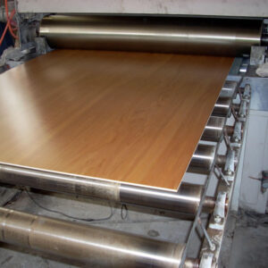 Birch Panels on Laminator