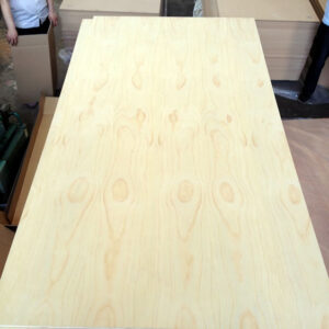 Plywood - Radiata Pine Stack