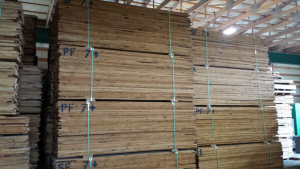 Softwood Lumber Alder